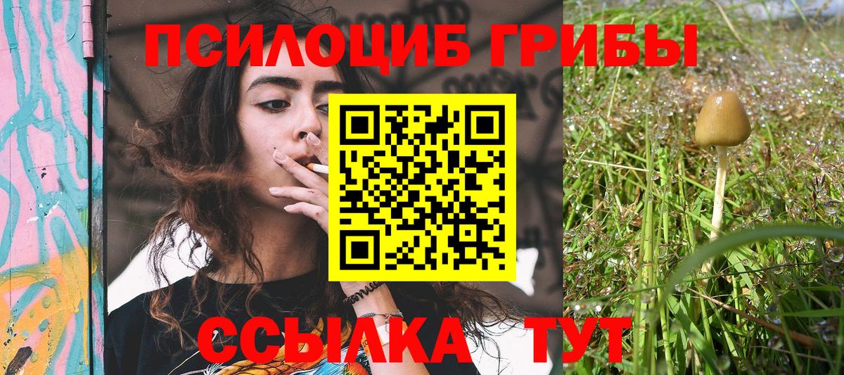 Иркутск  Псилоцибиновые грибы мицелий  Псилоцибиновые грибы мухоморы  Вход с VPN 