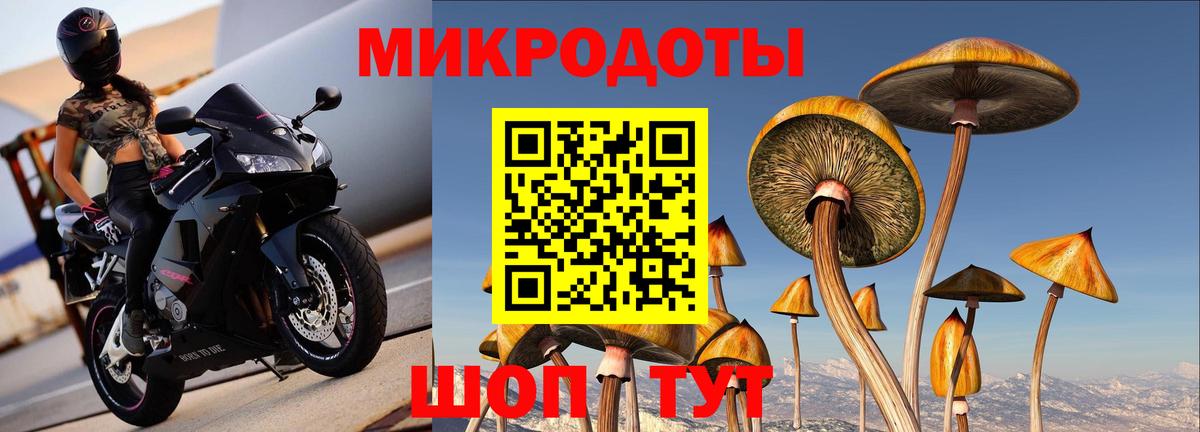 Псилоцибиновые грибы мухоморы Иркутск